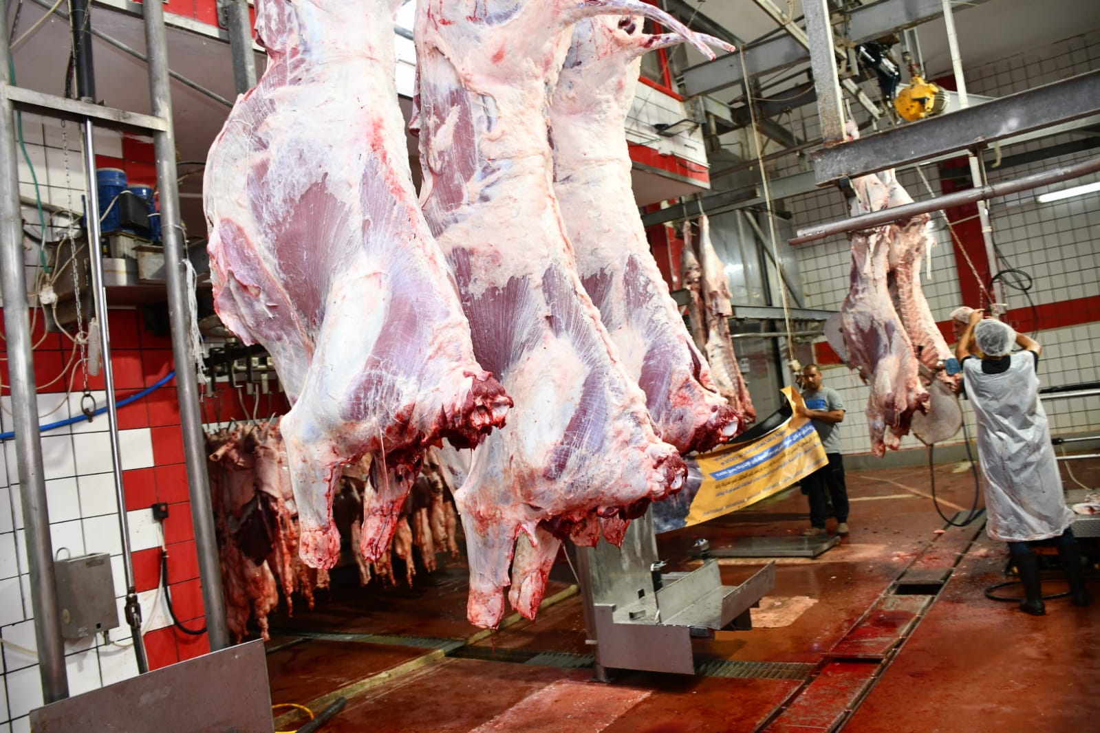 WhatsApp Image 2020-07-31 at 11.28.28 AM (3).jpeg.jpeg